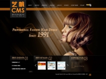 户外 LED 广告投放